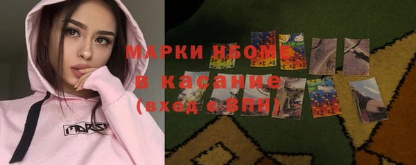 гашик Аркадак