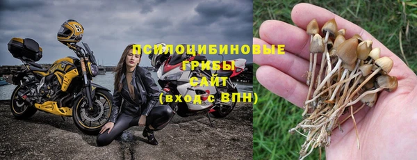 гашик Аркадак