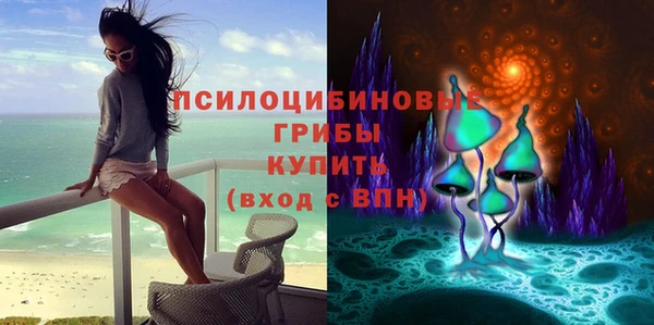 гашик Аркадак
