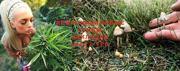 первитин Армянск