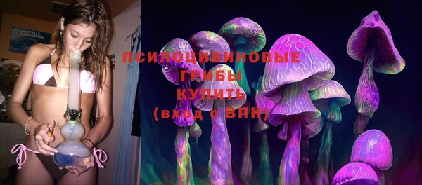 гашик Аркадак
